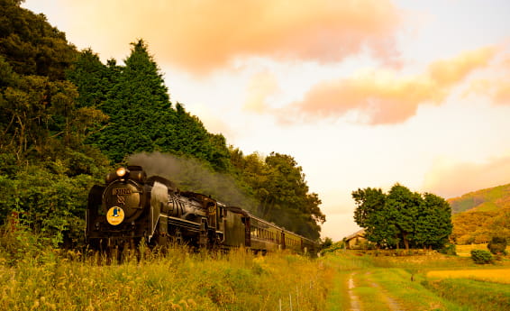 JR西日本　SLやまぐち号