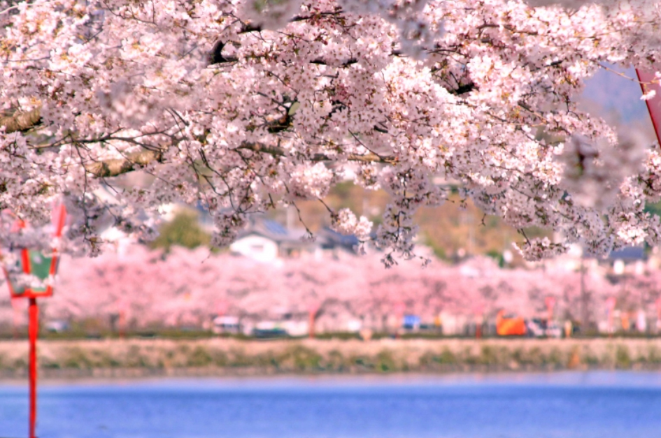 上野公園