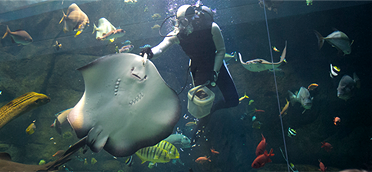 宮島水族館『みやじマリン』