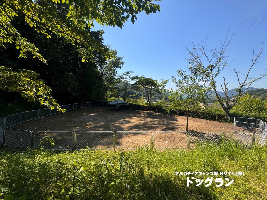 アルカディアキャンプ場