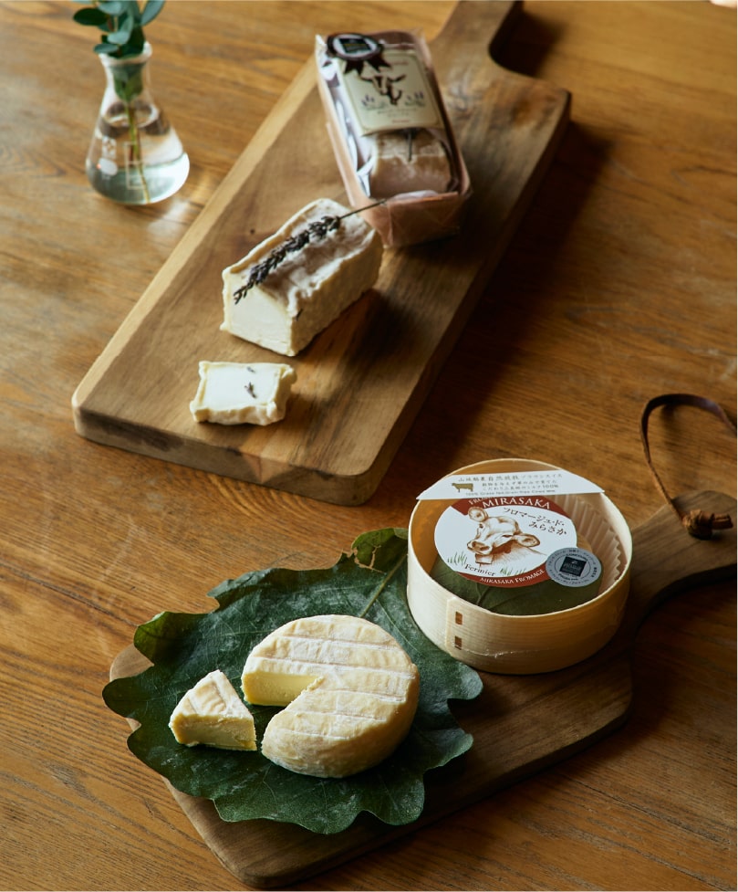 広島・山口の魅力を伝えるポータルサイト「てみて」