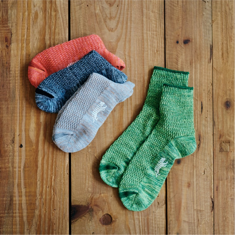 広島・山口の魅力を伝えるポータルサイト「てみて」