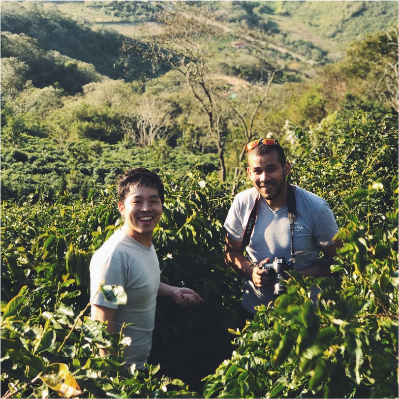 広島・山口の魅力を伝えるポータルサイト「てみて」