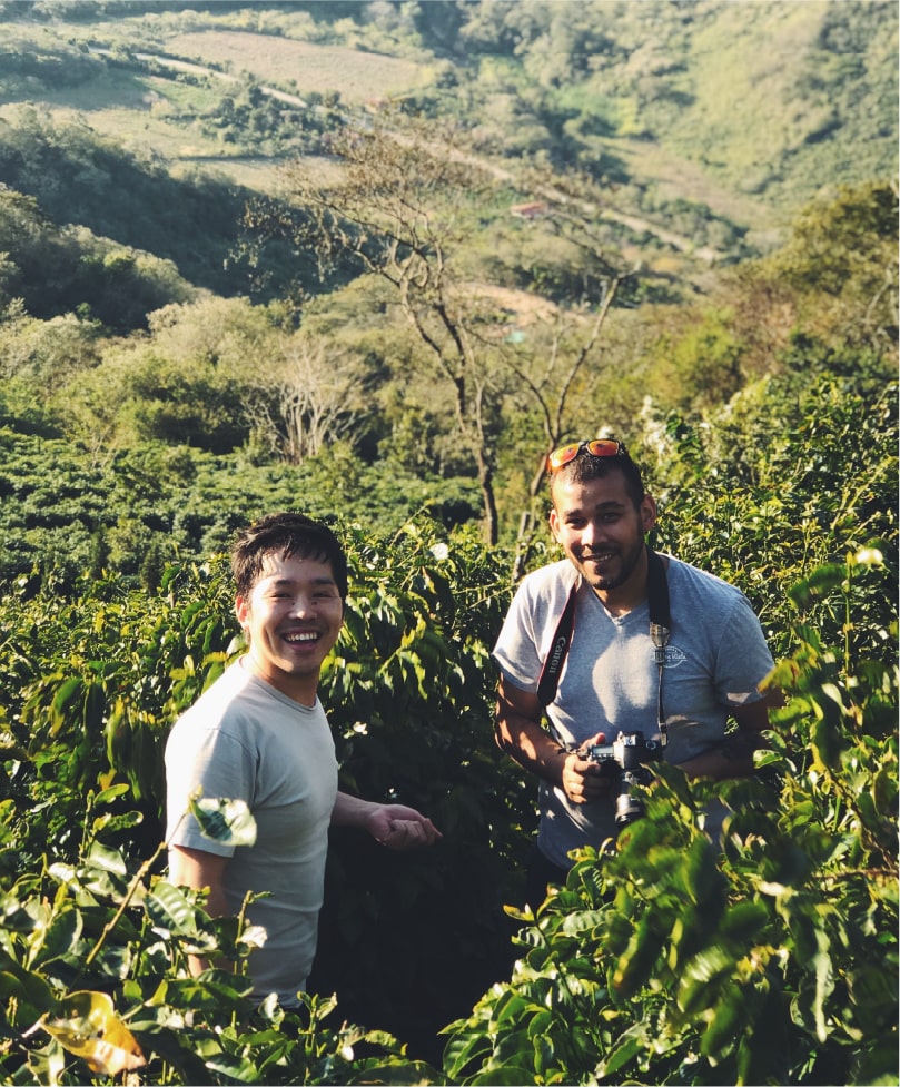 広島・山口の魅力を伝えるポータルサイト「てみて」